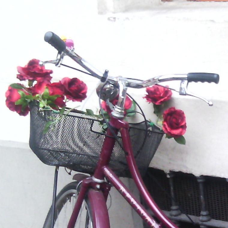 Tutti in bici